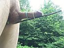 Gespalkt, foto 2576x1932, 1 reacties, 8 stemmen