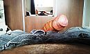 Gewoon, foto 640x386, 3 reacties, 6 stemmen