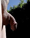 Gisteren buiten., foto 751x960, 5 reacties, 10 stemmen