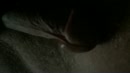 Goedemorgen dames, film 00:00:00, 0 reacties, 2 stemmen