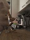 Goeiemorgen !, foto 3000x4000, 0 reacties, 4 stemmen