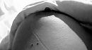 Goeiemorgend!, foto 4000x2217, 17 reacties, 83 stemmen