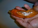 Handenwarmer, foto 640x480, 4 reacties, 13 stemmen