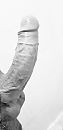 Hard, foto 1811x3724, 5 reacties, 18 stemmen