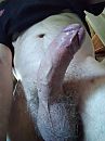 Hard, foto 2448x3264, 6 reacties, 19 stemmen