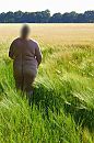 Haver, foto 2520x3776, 5 reacties, 31 stemmen