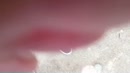 Heerlijke staaf in mijn keel, film 00:00:22, 21 reacties, 62 stemmen