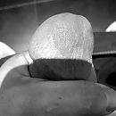 Heerljk, foto 2013x2013, 1 reacties, 8 stemmen