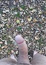 Hersttafereeltje, foto 1000x1396, 1 reacties, 3 stemmen