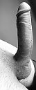 Het is weer een geile middag, foto 1615x4000, 3 reacties, 10 stemmen