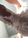 Hulp gezocht, foto 960x1280, 3 reacties, 7 stemmen