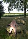Hunebed, foto 2202x2984, 6 reacties, 60 stemmen