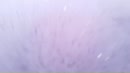 Idd  .scheren, film 00:00:27, 6 reacties, 51 stemmen