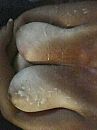 Ietsje donker., foto 1200x1600, 42 reacties, 173 stemmen