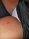 In de auto..., foto 3000x4000, 3 reacties, 34 stemmen
