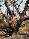 Jojanneke kan de boom in, foto 3000x4000, 32 reacties, 237 stemmen