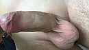 Kaal, foto 1280x720, 2 reacties, 12 stemmen