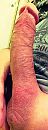 Keihard, foto 384x1024, 2 reacties, 6 stemmen