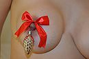 Versierde kerstborst.., foto 4000x2659, 4 reacties, 36 stemmen