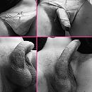 Kleine collage, foto 2048x2048, 4 reacties, 17 stemmen