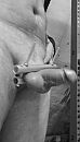Klem, foto 298x517, 10 reacties, 24 stemmen