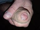Kom je het oplikken?, foto 4000x3000, 0 reacties, 2 stemmen