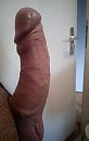 Koppie, foto 720x1136, 5 reacties, 10 stemmen