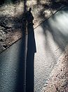 Laagstaande zon, foto 2448x3264, 0 reacties, 3 stemmen