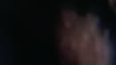 Lekker spuiten, film 00:00:00, 16 reacties, 37 stemmen
