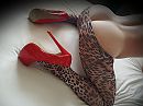Leopard panty, foto 2204x1653, 11 reacties, 70 stemmen