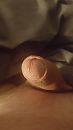 Leuter 1, foto 2250x4000, 3 reacties, 8 stemmen