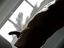 Licht en schaduw., foto 1280x960, 1 reacties, 3 stemmen