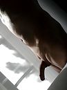 Licht en schaduw., foto 960x1280, 1 reacties, 3 stemmen