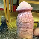 Me, foto 640x640, 0 reacties, 2 stemmen