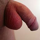 Mijn (slappe) pik, foto 949x949, 0 reacties, 0 stemmen