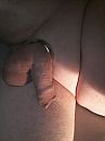 Mmm, foto 960x1280, 5 reacties, 17 stemmen