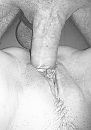 Mmmm, foto 1536x2168, 20 reacties, 68 stemmen