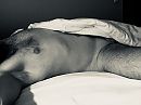 Mornin, foto 2048x1538, 1 reacties, 1 stemmen