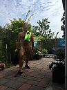Morning run 3, foto 3000x4000, 1 reacties, 3 stemmen