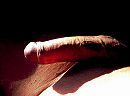 Morning sun., foto 1196x893, 2 reacties, 6 stemmen