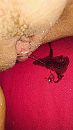 Nat , geil , ongeschoren, foto 768x1366, 6 reacties, 50 stemmen