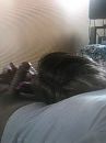 Natte boel, foto 1512x2016, 21 reacties, 107 stemmen