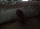 Net wakker, foto 2592x1936, 12 reacties, 40 stemmen