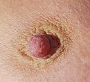 Nipple of my wife, foto 1600x1458, 1 reacties, 5 stemmen