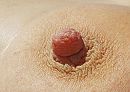 Nipple of my wife, foto 1850x1324, 0 reacties, 4 stemmen