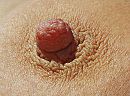 Nipple of my wife, foto 1600x1195, 3 reacties, 19 stemmen