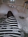 Oeps iets vetgeten ?, foto 3000x4000, 7 reacties, 24 stemmen