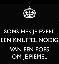 Of van 2...., foto 1080x1167, 2 reacties, 17 stemmen
