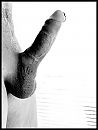 Onder de douche ;), foto 1542x2038, 6 reacties, 12 stemmen