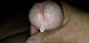 Ook goedemorgen, foto 4000x1944, 5 reacties, 22 stemmen